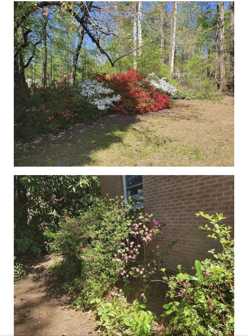 351755341_799811495039960_7468120606945004110_n